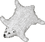 Tappeto di Orso Bianco